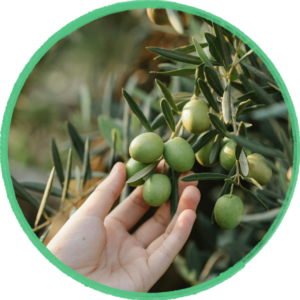 j2olio process 1